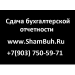 79037505971,  сдача годовой отчетности,  ShamBuh. Ru