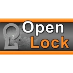 Чип ключи. Восстановление автоключей. 8-495-9919201 www. openlock. ru