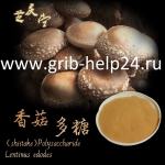 экстракт грибов