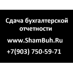79037505971, сдача годовой отчетности, ShamBuh. Ru