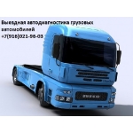 Диагностика Скания с выездом к месту парковки.