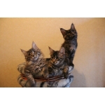 Мейн-кун — продажа котят