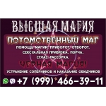 Потомственный маг, родовой веретник высшей магии и колдовста