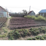 Продаю дачу