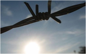 31 ������� 