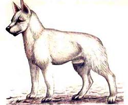 ���������� �����