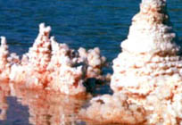 ���� ������� �����������?