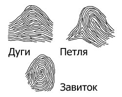 ���������� XXI ����